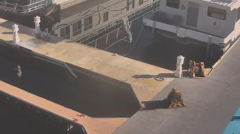 Weather camera view of Lake Powell Resorts and Marinas - Wahweap Marina.