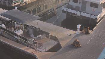 Weather camera view of Lake Powell Resorts and Marinas - Wahweap Marina.
