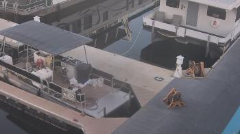 Weather camera view of Lake Powell Resorts and Marinas - Wahweap Marina.