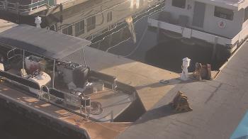 Weather camera view of Lake Powell Resorts and Marinas - Wahweap Marina.