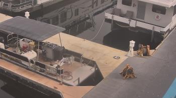 Weather camera view of Lake Powell Resorts and Marinas - Wahweap Marina.
