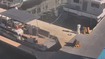 Weather camera view of Lake Powell Resorts and Marinas - Wahweap Marina.