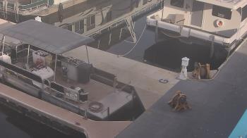 Weather camera view of Lake Powell Resorts and Marinas - Wahweap Marina.
