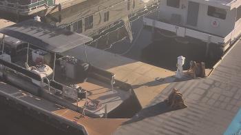 Weather camera view of Lake Powell Resorts and Marinas - Wahweap Marina.