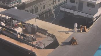 Weather camera view of Lake Powell Resorts and Marinas - Wahweap Marina.
