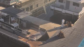 Weather camera view of Lake Powell Resorts and Marinas - Wahweap Marina.