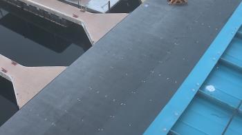 Weather camera view of Lake Powell Resorts and Marinas - Wahweap Marina.