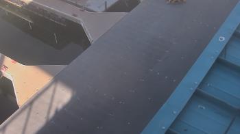 Weather camera view of Lake Powell Resorts and Marinas - Wahweap Marina.