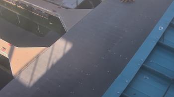 Weather camera view of Lake Powell Resorts and Marinas - Wahweap Marina.