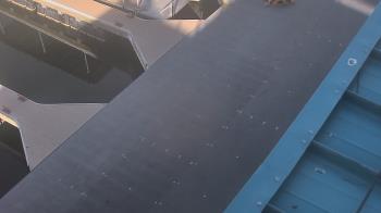 Weather camera view of Lake Powell Resorts and Marinas - Wahweap Marina.