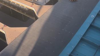 Weather camera view of Lake Powell Resorts and Marinas - Wahweap Marina.