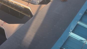 Weather camera view of Lake Powell Resorts and Marinas - Wahweap Marina.