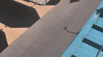 Weather camera view of Lake Powell Resorts and Marinas - Wahweap Marina.