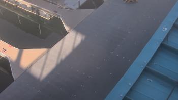 Weather camera view of Lake Powell Resorts and Marinas - Wahweap Marina.