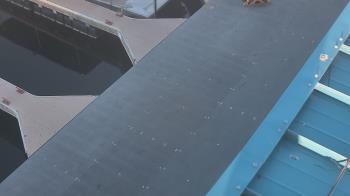 Weather camera view of Lake Powell Resorts and Marinas - Wahweap Marina.