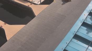 Weather camera view of Lake Powell Resorts and Marinas - Wahweap Marina.