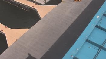 Weather camera view of Lake Powell Resorts and Marinas - Wahweap Marina.