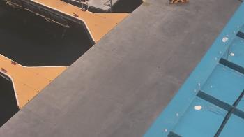 Weather camera view of Lake Powell Resorts and Marinas - Wahweap Marina.