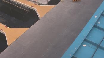 Weather camera view of Lake Powell Resorts and Marinas - Wahweap Marina.