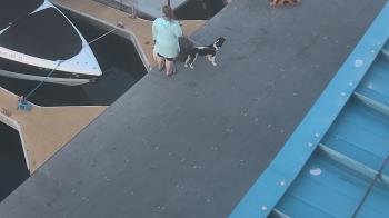 Weather camera view of Lake Powell Resorts and Marinas - Wahweap Marina.