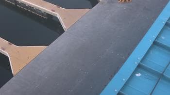 Weather camera view of Lake Powell Resorts and Marinas - Wahweap Marina.