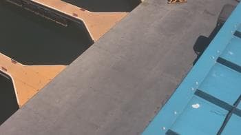 Weather camera view of Lake Powell Resorts and Marinas - Wahweap Marina.