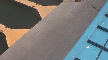 Weather camera view of Lake Powell Resorts and Marinas - Wahweap Marina.