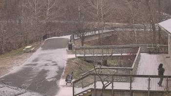 Weather camera view of Lake Roland Nature Council.