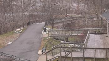 Weather camera view of Lake Roland Nature Council.