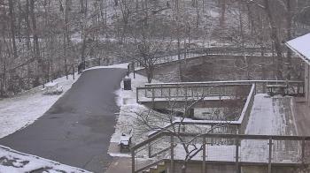 Weather camera view of Lake Roland Nature Council.