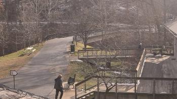 Weather camera view of Lake Roland Nature Council.