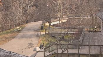 Weather camera view of Lake Roland Nature Council.