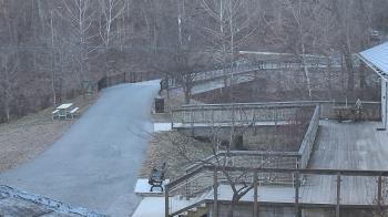 Weather camera view of Lake Roland Nature Council.