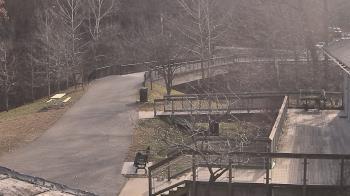 Weather camera view of Lake Roland Nature Council.