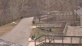 Weather camera view of Lake Roland Nature Council.