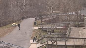 Weather camera view of Lake Roland Nature Council.