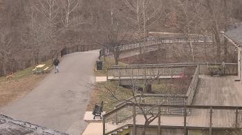 Weather camera view of Lake Roland Nature Council.