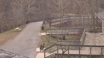 Weather camera view of Lake Roland Nature Council.