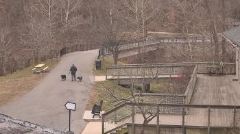 Weather camera view of Lake Roland Nature Council.