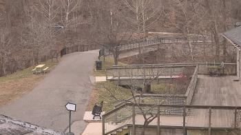 Weather camera view of Lake Roland Nature Council.