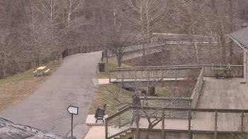 Weather camera view of Lake Roland Nature Council.