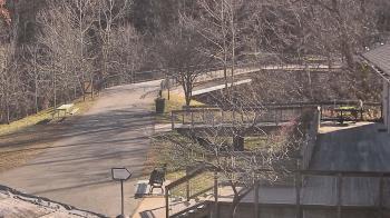 Weather camera view of Lake Roland Nature Council.
