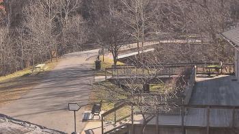 Weather camera view of Lake Roland Nature Council.