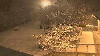 Weather camera view of Lake Roland Nature Council.