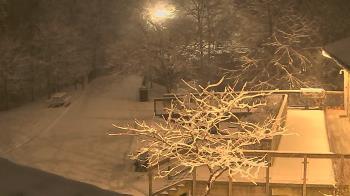 Weather camera view of Lake Roland Nature Council.