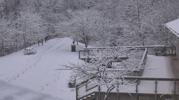 Weather camera view of Lake Roland Nature Council.
