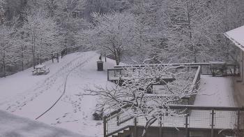 Weather camera view of Lake Roland Nature Council.
