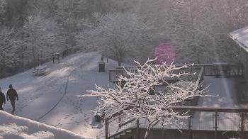 Weather camera view of Lake Roland Nature Council.