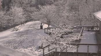 Weather camera view of Lake Roland Nature Council.