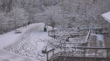 Weather camera view of Lake Roland Nature Council.